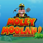 Moley Moolah! Logo